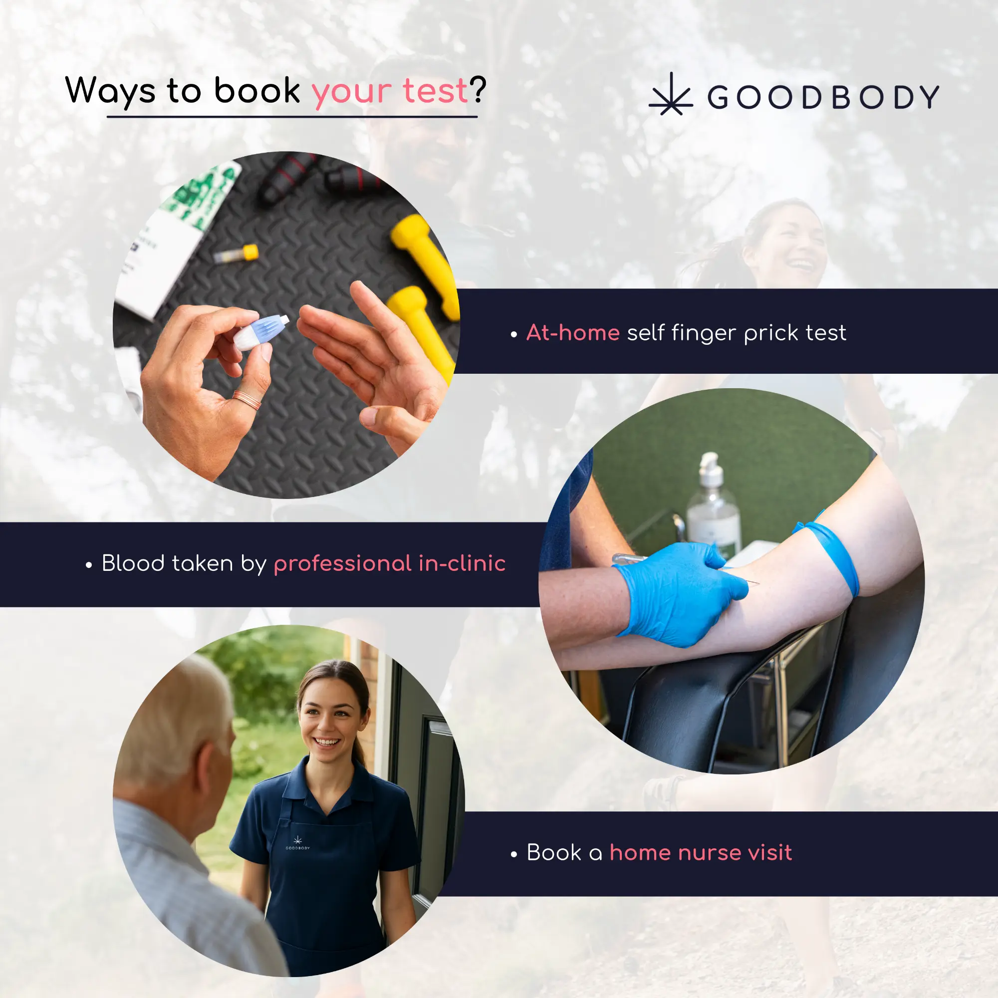 Sports and Fitness Blood Test - Image 3